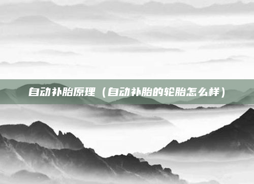 自动补胎原理（自动补胎的轮胎怎么样）
