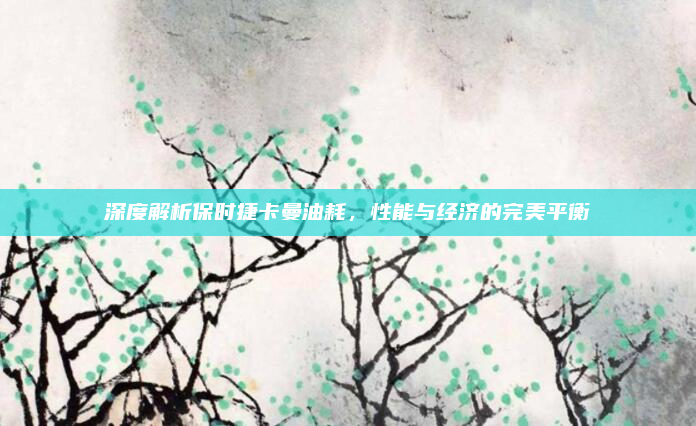 深度解析保时捷卡曼油耗,性能与经济的完美平衡