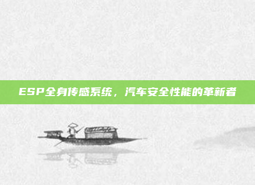 ESP全身传感系统,汽车安全性能的革新者