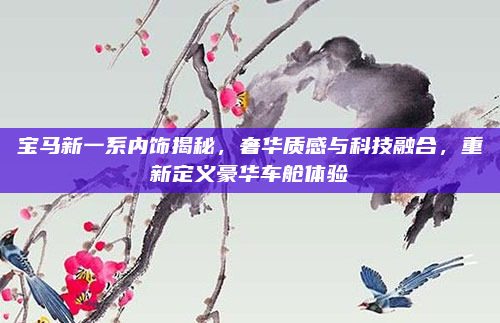 宝马新一系内饰揭秘,奢华质感与科技融合,重新定义豪华车舱体验