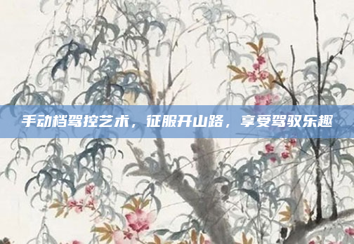 手动档驾控艺术,征服开山路,享受驾驭乐趣