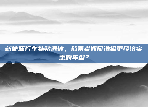 新能源汽车补贴退坡,消费者如何选择更经济实惠的车型?