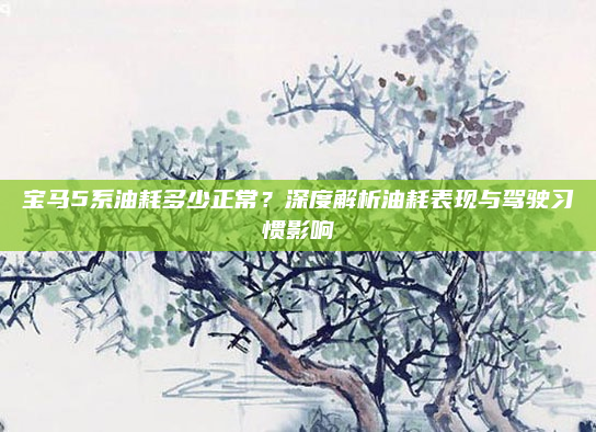 宝马5系油耗多少正常?深度解析油耗表现与驾驶习惯影响