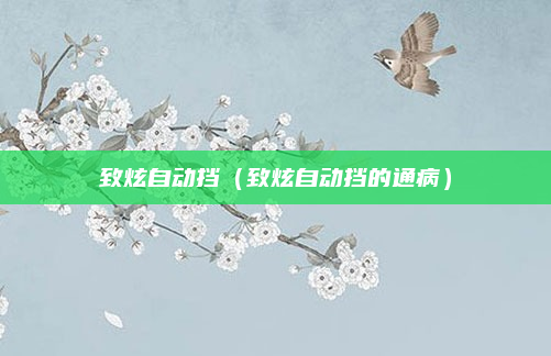 致炫自动挡（致炫自动挡的通病）