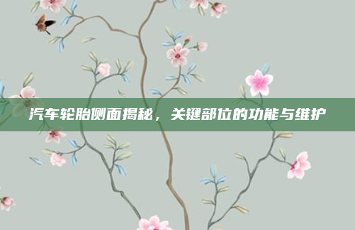 汽车轮胎侧面揭秘,关键部位的功能与维护