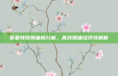 菲亚特致悦油耗分析,高效燃油经济性解析