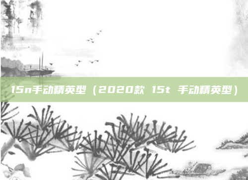 15n手动精英型（2020款 15t 手动精英型）