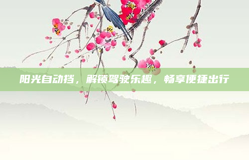 阳光自动挡，解锁驾驶乐趣，畅享便捷出行