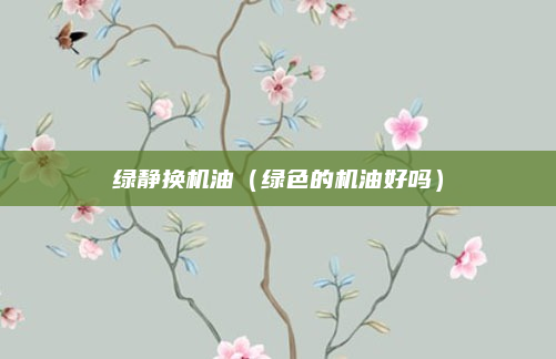 绿静换机油（绿色的机油好吗）