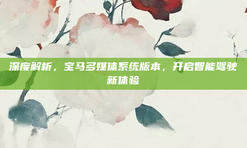 深度解析，宝马多媒体系统版本，开启智能驾驶新体验