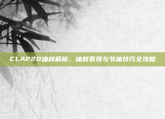 CLA220油耗解析,油耗表现与节油技巧全攻略
