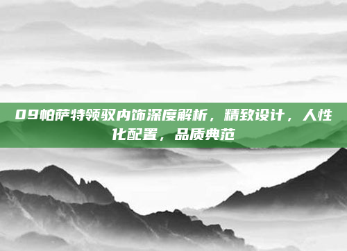 09帕萨特领驭内饰深度解析,精致设计,人性化配置,品质典范