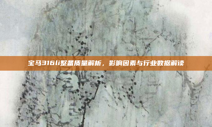 宝马316li整备质量解析,影响因素与行业数据解读