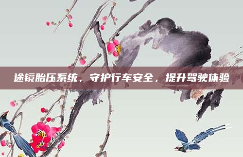 途镜胎压系统,守护行车安全,提升驾驶体验