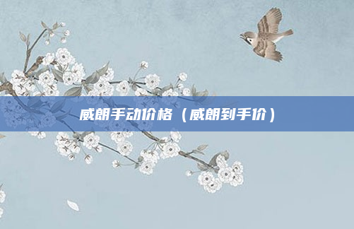 威朗手动价格（威朗到手价）