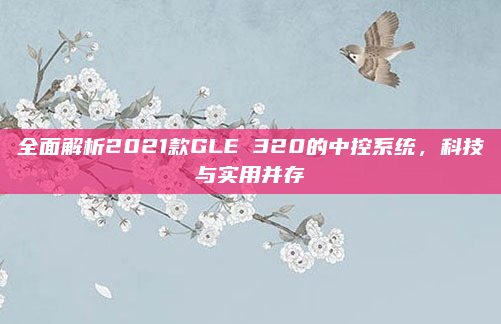 全面解析2021款GLE 320的中控系统,科技与实用并存