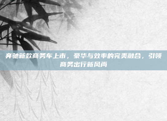 奔驰新款商务车上市，豪华与效率的完美融合，引领商务出行新风尚