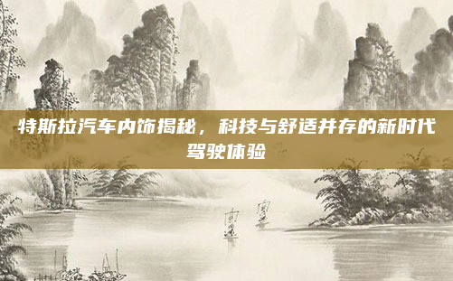 特斯拉汽车内饰揭秘，科技与舒适并存的新时代驾驶体验