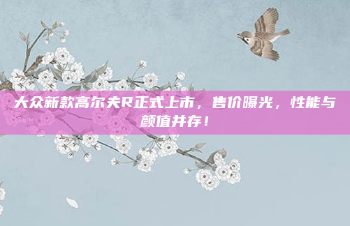 大众新款高尔夫R正式上市，售价曝光，性能与颜值并存！