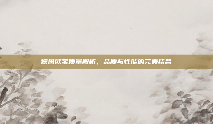 德国欧宝质量解析，品质与性能的完美结合