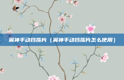 翼神手动挡拨片(翼神手动挡拨片怎么使用)