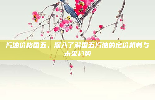 汽油价格国五，深入了解国五汽油的定价机制与未来趋势