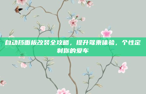 自动挡面板改装全攻略，提升驾乘体验，个性定制你的爱车