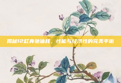 揭秘12缸奔驰油耗,性能与经济性的完美平衡
