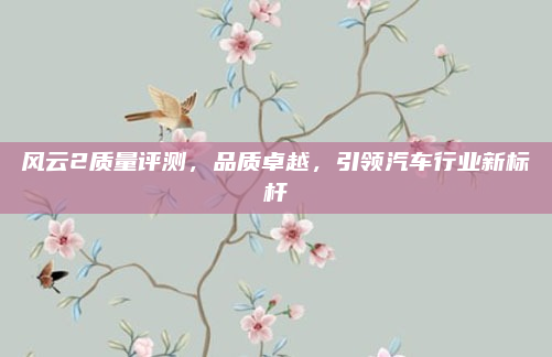 风云2质量评测，品质卓越，引领汽车行业新标杆