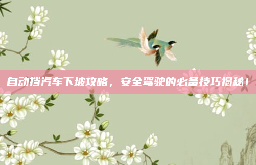 自动挡汽车下坡攻略,安全驾驶的必备技巧揭秘!