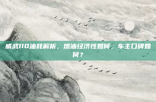 威武110油耗解析,燃油经济性如何,车主口碑如何?