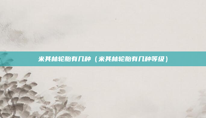 米其林轮胎有几种(米其林轮胎有几种等级)
