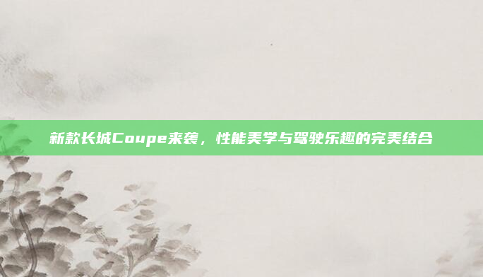 新款长城Coupe来袭，性能美学与驾驶乐趣的完美结合