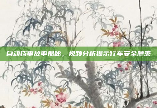 自动挡事故率揭秘,视频分析揭示行车安全隐患