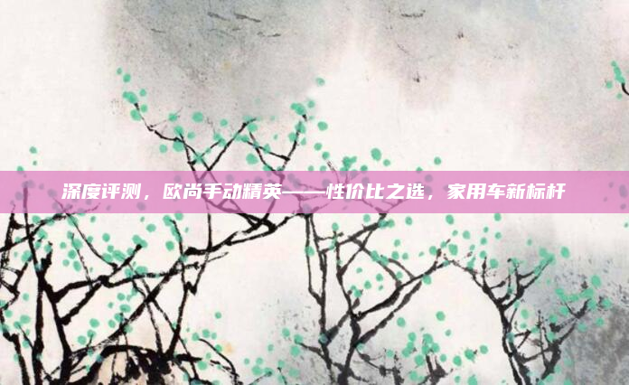 深度评测,欧尚手动精英——性价比之选,家用车新标杆