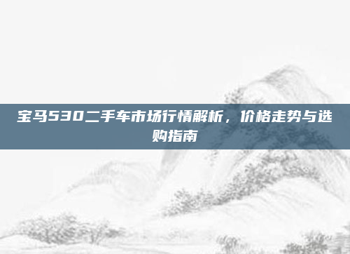 宝马530二手车市场行情解析,价格走势与选购指南