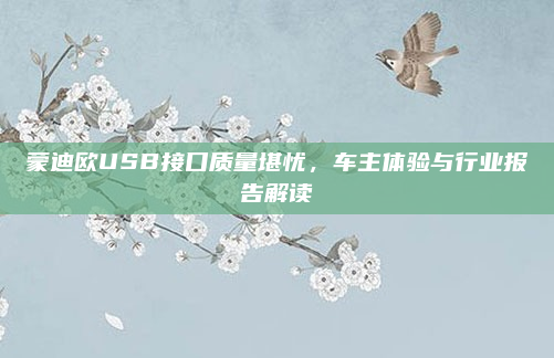 蒙迪欧USB接口质量堪忧，车主体验与行业报告解读