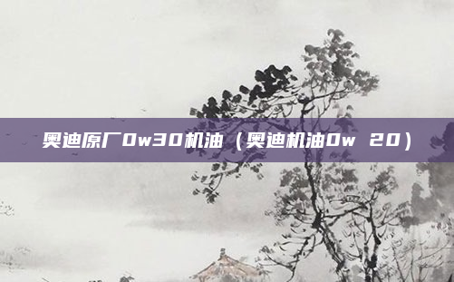 奥迪原厂0w30机油（奥迪机油0w 20）
