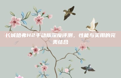 长城哈弗H2手动版深度评测,性能与实用的完美结合