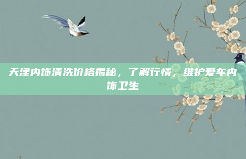 天津内饰清洗价格揭秘，了解行情，维护爱车内饰卫生