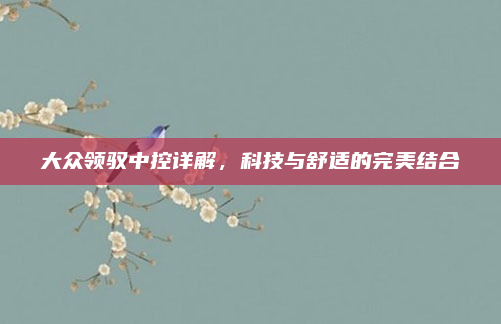 大众领驭中控详解,科技与舒适的完美结合