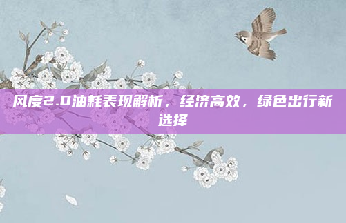 风度2.0油耗表现解析,经济高效,绿色出行新选择