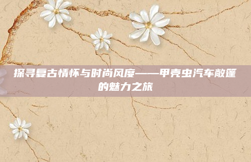 探寻复古情怀与时尚风度——甲壳虫汽车敞篷的魅力之旅