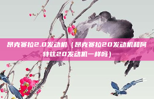 昂克赛拉2.0发动机（昂克赛拉20发动机和阿特兹20发动机一样吗）