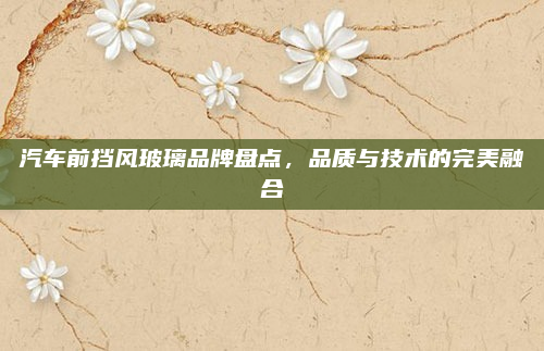 汽车前挡风玻璃品牌盘点,品质与技术的完美融合