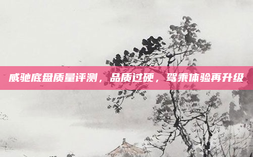 威驰底盘质量评测,品质过硬,驾乘体验再升级