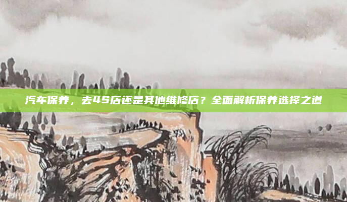 汽车保养，去4S店还是其他维修店？全面解析保养选择之道
