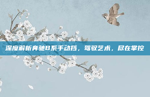 深度解析奔驰B系手动挡，驾驭艺术，尽在掌控