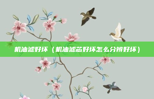 机油滤好坏（机油滤芯好坏怎么分辨好坏）