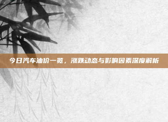 今日汽车油价一览，涨跌动态与影响因素深度解析